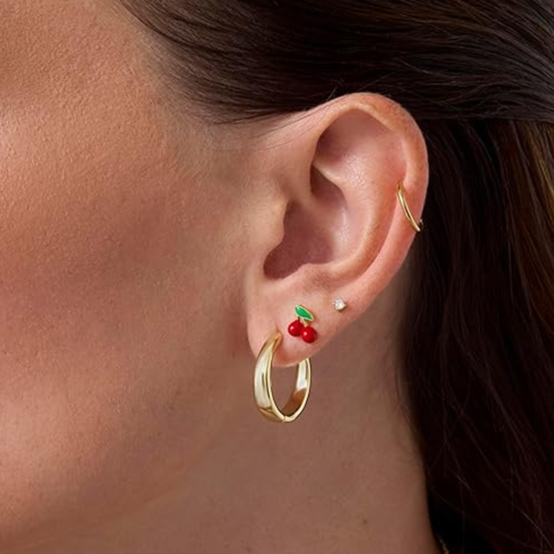 2pcs Cartilage Earrings Stud f - Body Jewelry Surgical Steel avaliação e preço